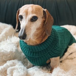 Green Dog Sweater | Dog Clothing